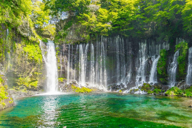 Berg Fuji und Hakone Ganztagestour private Tour