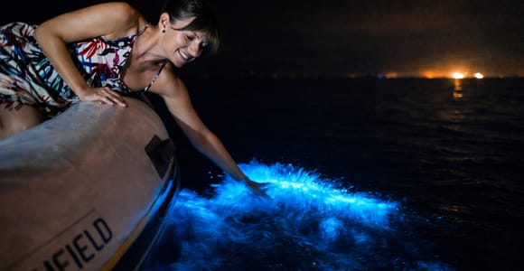Sunset Boat Tour & Bioluminescence Swim at Los Arcos