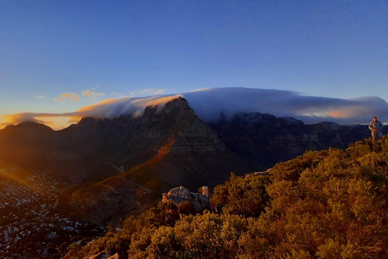 Cape Town: Lion's Head Sunrise or Sunset Hike Sunrise or Sunset Hike with Drop-Off