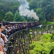 Melbourne: Puffing Billy Train and Penguin Island Day Tour