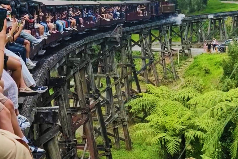 Melbourne: Puffingbilly Train and Penguin Island Day Tour