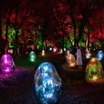 Osaka: biglietto d'ingresso al giardino botanico teamLab