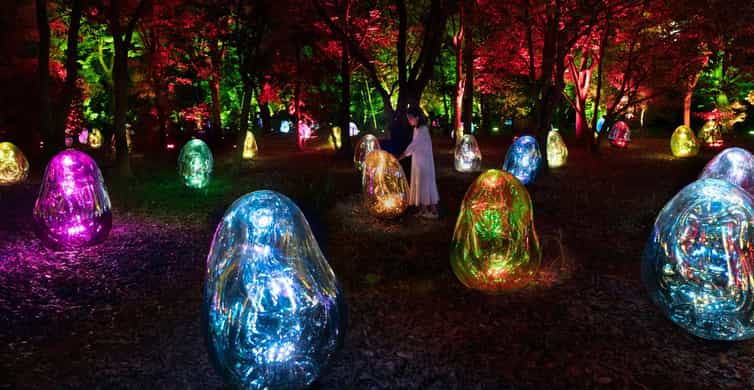 Osaka: teamLab Botanical Garden Entry Ticket