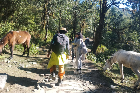 波塔纳与澳大利亚营地短途徒步（从博卡拉出发）短途徒步：从博卡拉出发前往波塔纳与澳大利亚营地