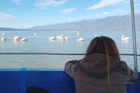From Sofia: Lake Kerkini, Greece Nature & Culture Day Tour