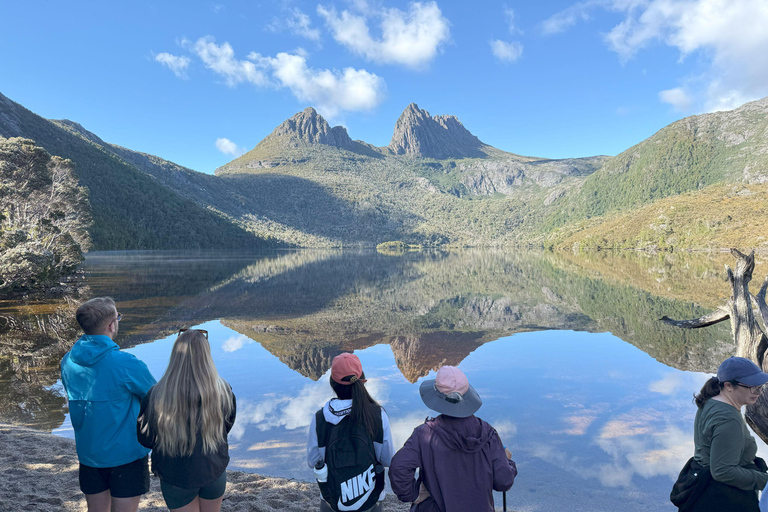 6 Day Taste of Tasmania Tour Private room shared bathroom 1 person
