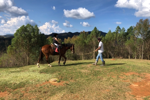 From Paraty: Private Horse-Riding Experience, Picnic, Driver From Paraty: Horse-Riding Experience, Picnic, and Driver