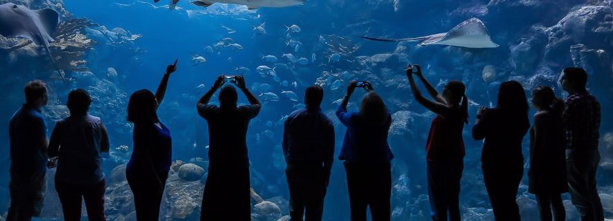 Tampa: The Florida Aquarium Skip-the-Line Entrance