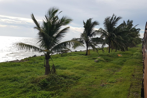 Colombo: UNESCO-Galle-Fort mit malerischer KüstenbahnfahrtColombo: UNESCO Galle Fort mit malerischer Küstenbahnfahrt