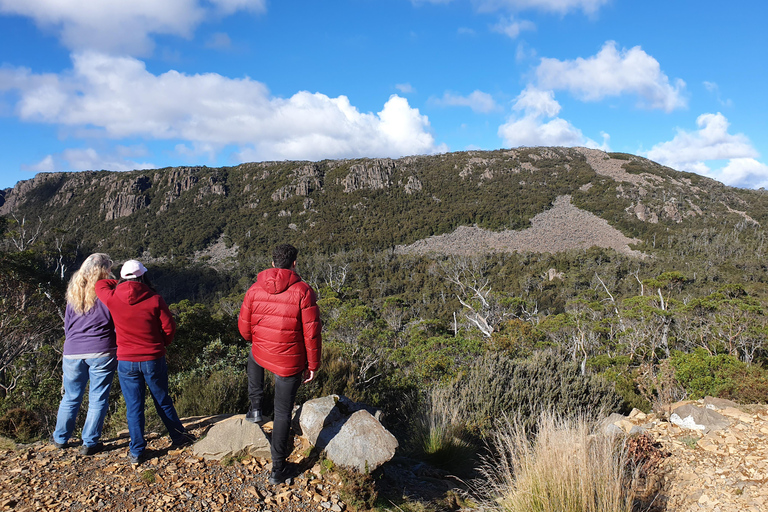 From Hobart: Great Lake, Untamed High Country Small Group The Great Lake and High Country Small Group Tour