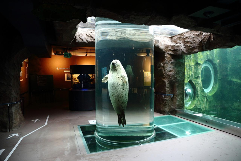 Asahiyama Zoo, Biei, and Ningle Terrace Night View Tour