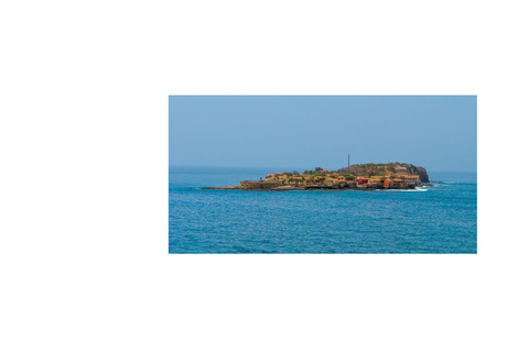 Dakar - Gorée Island: Guided visit of culture, history, and art with an artist