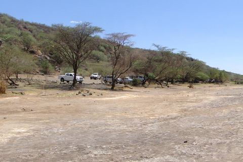 2 days Flamingo watching at Lake Bogoria and Lake Nakuru