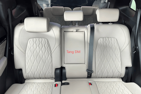 Guangzhou: Private Luxury Vehicle Tour - English or Spanish Guangzhou 8 Hour Tour - VOYAH DREAMPOWER/Buick