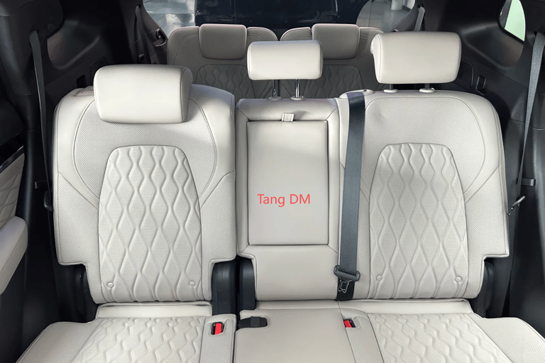 Guangzhou: Private Luxury Vehicle Tour - English or Spanish Guangzhou 8 Hour Tour - VOYAH DREAMPOWER/Buick
