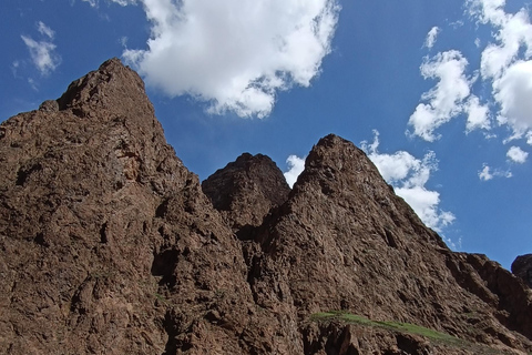 Mongolië: Rondreis door de Gobiwoestijn en Kharkhorin, Centraal-Mongolië