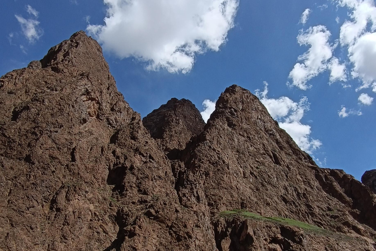 Mongolië: Rondreis door de Gobiwoestijn en Kharkhorin, Centraal-Mongolië