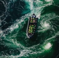 Bodø, RIB à Saltstraumen avec un safari d'aigle marin - Hizvo