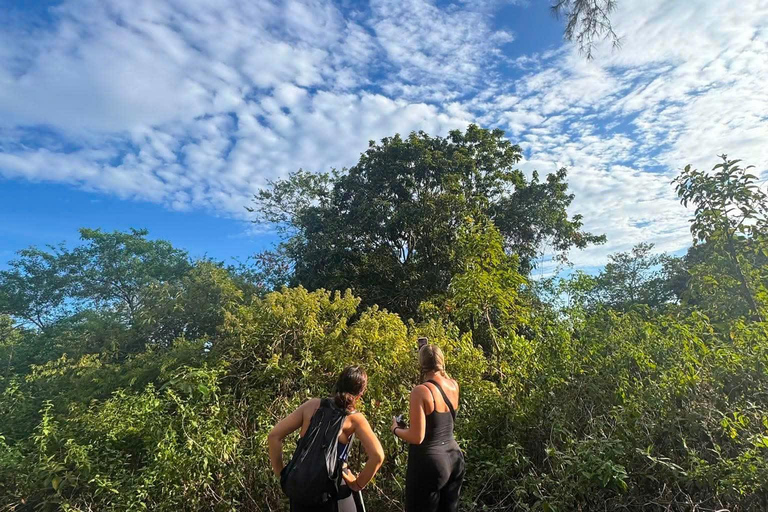 Son Tra Monkey Tours : Spot Red-Shanked Douc & Sightseeings Morning Trip by Driver also Forest Ranger
