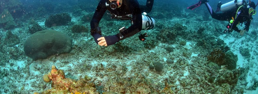 Pattaya : initiation à la plongée avec 2 plongées océaniques (pour débutants)