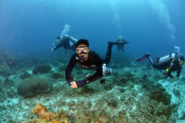 Pattaya: Fun Dive 2 Ocean Dives and Lunch (Certified Diver)