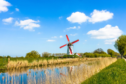 From Brussels: Day trip to Damme, Bruges and Leuven Tour in Spanish with Boat
