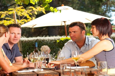 Christchurch: Waipara Valley Wine Tour with Tastings