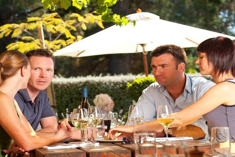 Christchurch: Waipara Valley Wine Tour with Tastings