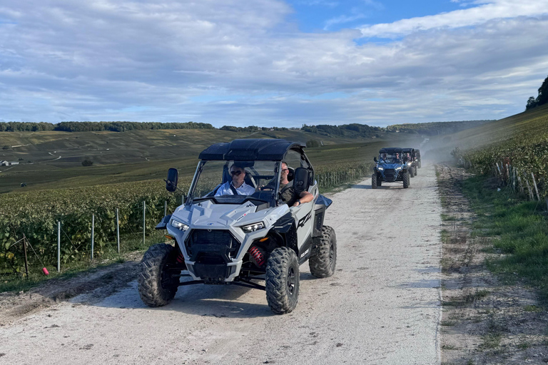 Champagne vineyards: 2-hour guided tour of the vineyards in a Buggy