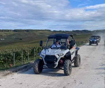 Champagne vineyards: 2-hour guided tour of the vineyards in a Buggy