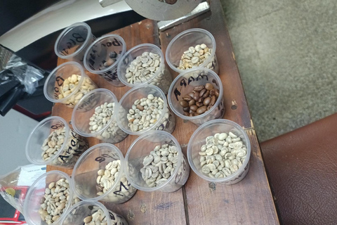 Guatemala City: Volcano-Grown Coffee Tasting Experience