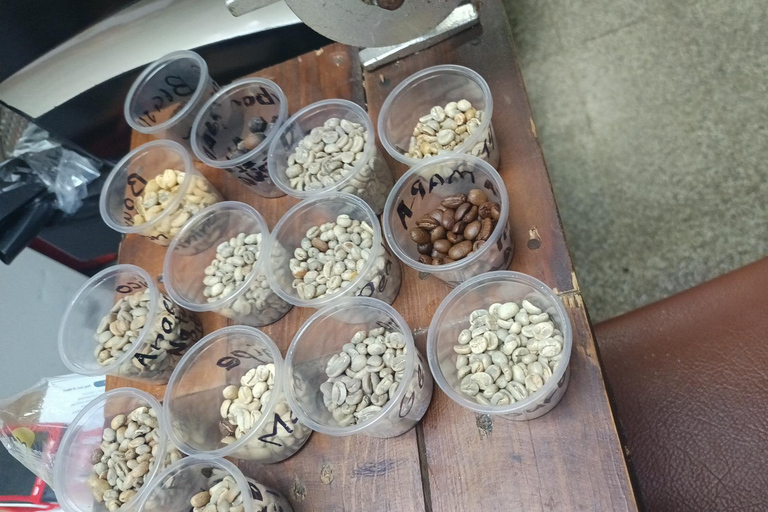 Guatemala City: Volcano-Grown Coffee Tasting Experience