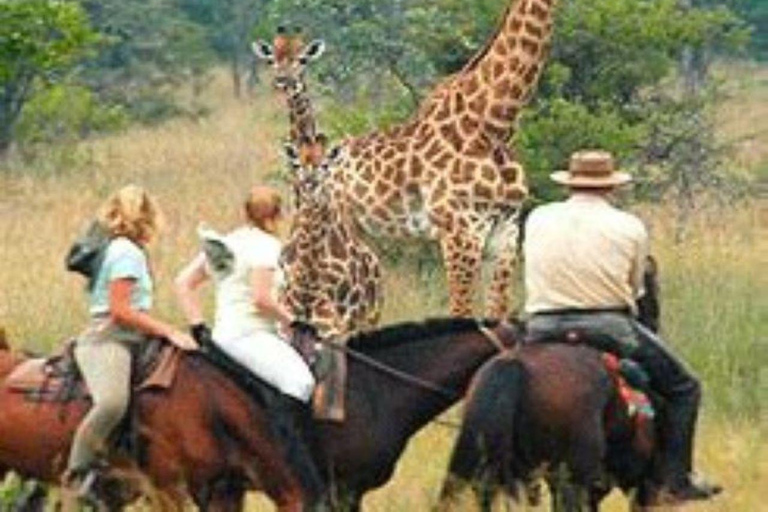 Day Trip Naivasha Hell&#039;s Gate Park, Horse Riding SanctuaryDay Tour Naivasha Hells Gate, Horse Riding Sanctuary Farm