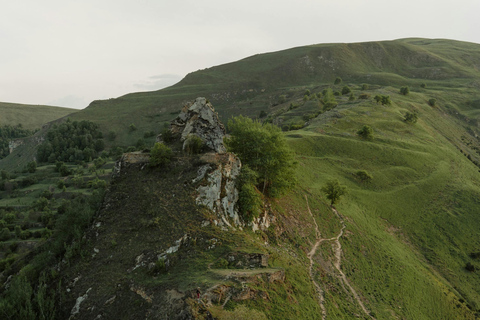 Nagano Snow Monkey private Day Tour from Tokyo