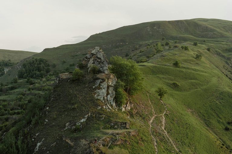 Nagano Snow Monkey private Day Tour from Tokyo
