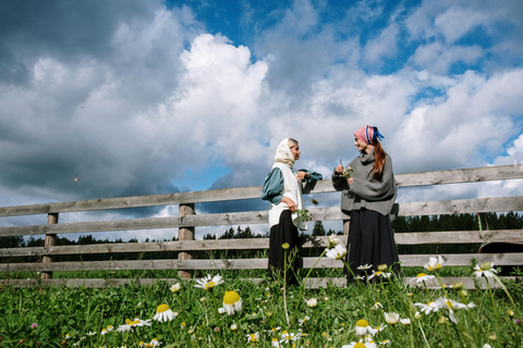 Tallinn: Jägala Waterfall and Harju County Tour