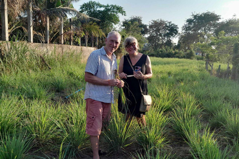 Phnom Penh’s Hands-On Khmer Cooking Class in the Countryside