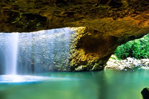 Brisbane: Rainforest, Waterfalls & Swimming in Gold Coast