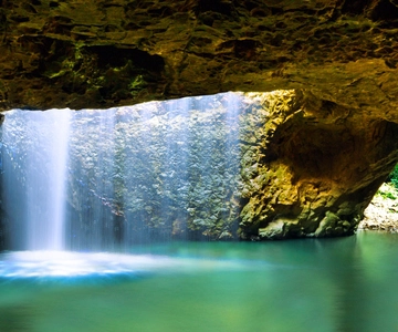 Brisbane : Forêt tropicale, chutes d'eau et baignade à Gold Coast