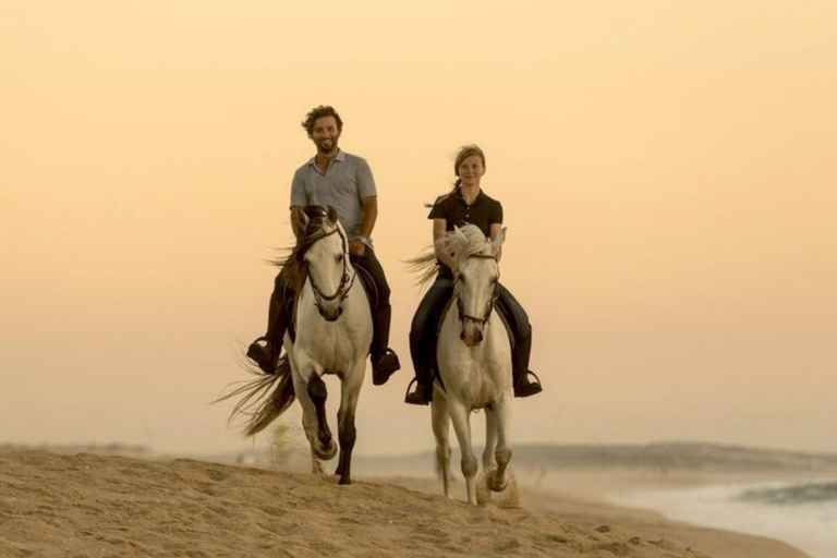 Tour de Doha à cheval : Visite du Majlis local