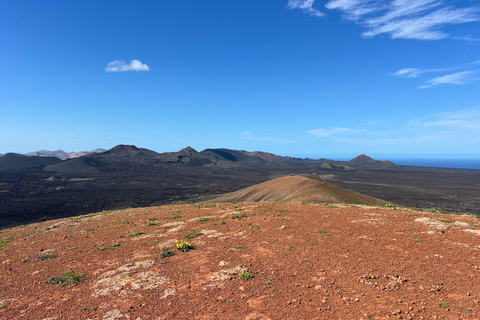 Lanzarote: Guided Hike discover volcano history and culture