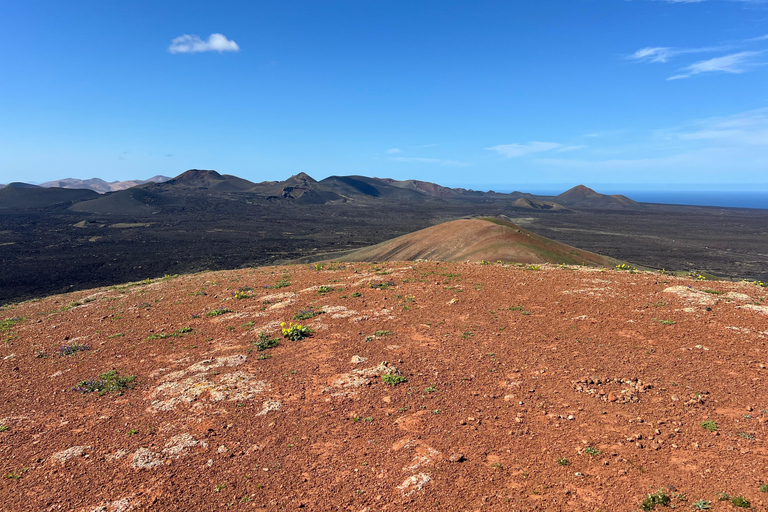 Lanzarote: Guided Hike discover volcano history and culture