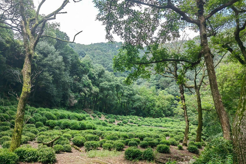 Hangzhou Jiuxi, Shililangdang & Yunqi Day Hiking Tour