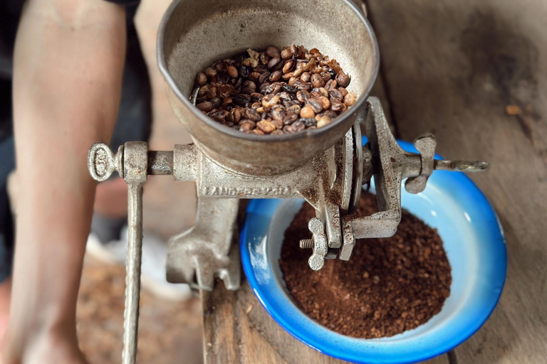 Ancestral Coffee Experience:Become a Coffee Farmer for a Day