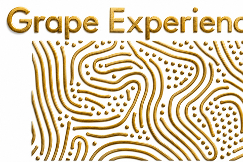 Reims Half-Day Tour: 2 Champagne Producers with 6 Wine Tastings Reims Half-Day Tour: 2 Champagne Producers with 6 Food Tastings