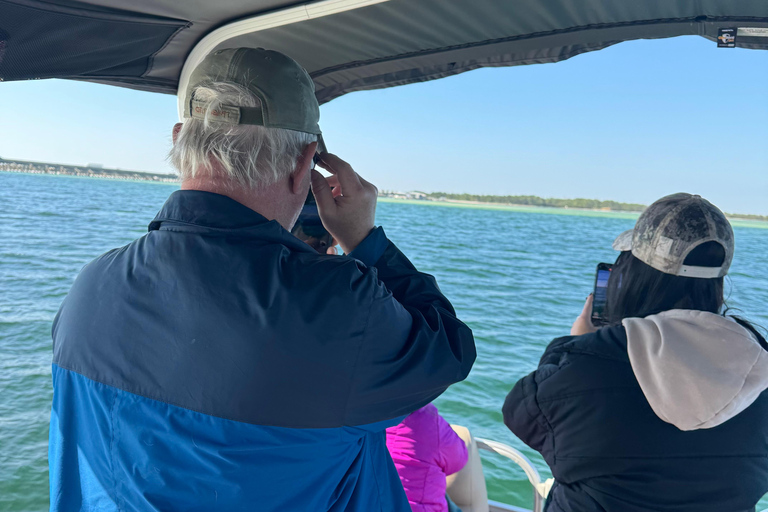 Destin: Destin Dolphin Harbor & Bay Boat Tour