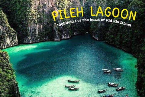 Phi Phi: Tour di un giorno con barca a coda lunga e tramonto