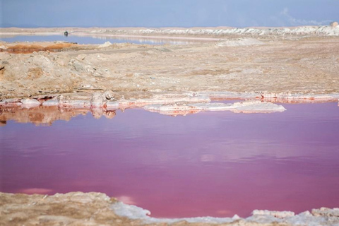 Small group Walvis Bay Lagoon tour with dunes & Swakopmund