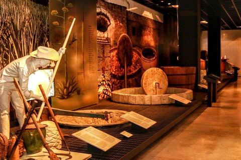 Mexico : billet pour le musée de la tequila et du mezcal avec dégustationsVISITE EXCLUSIVE ! Musée du Tequila et du Mezcal - petits groupes