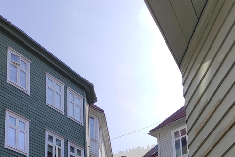 Bergen: Hoogtepunten van de stad Groep Wandeltour